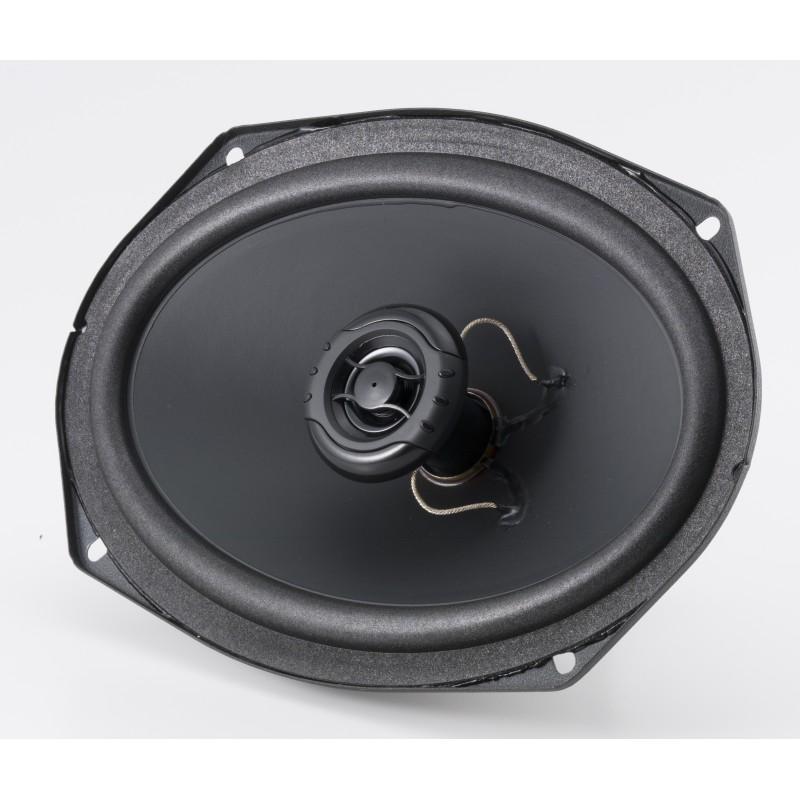 RX 6x9" Speaker