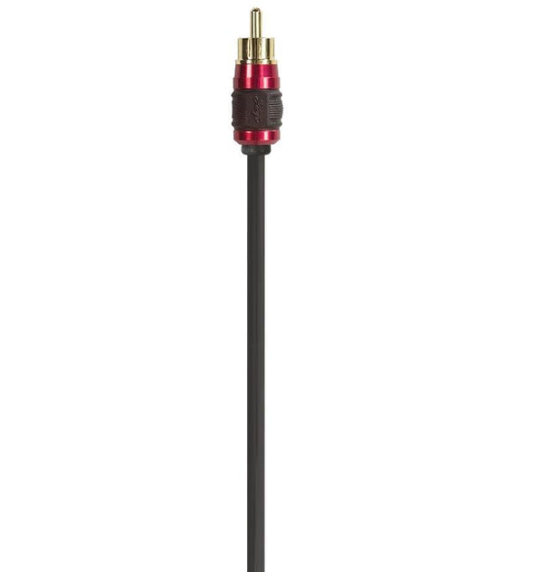 X2 SERIES 2 CHANNEL INTERCONNECT 6FT