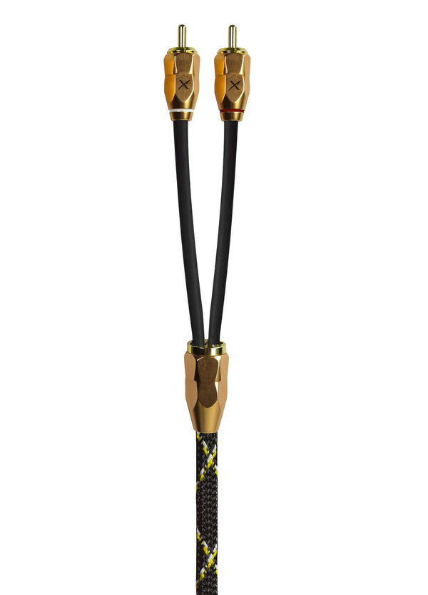 X3 SERIES 2 CHANNEL INTERCONNECT 20FT